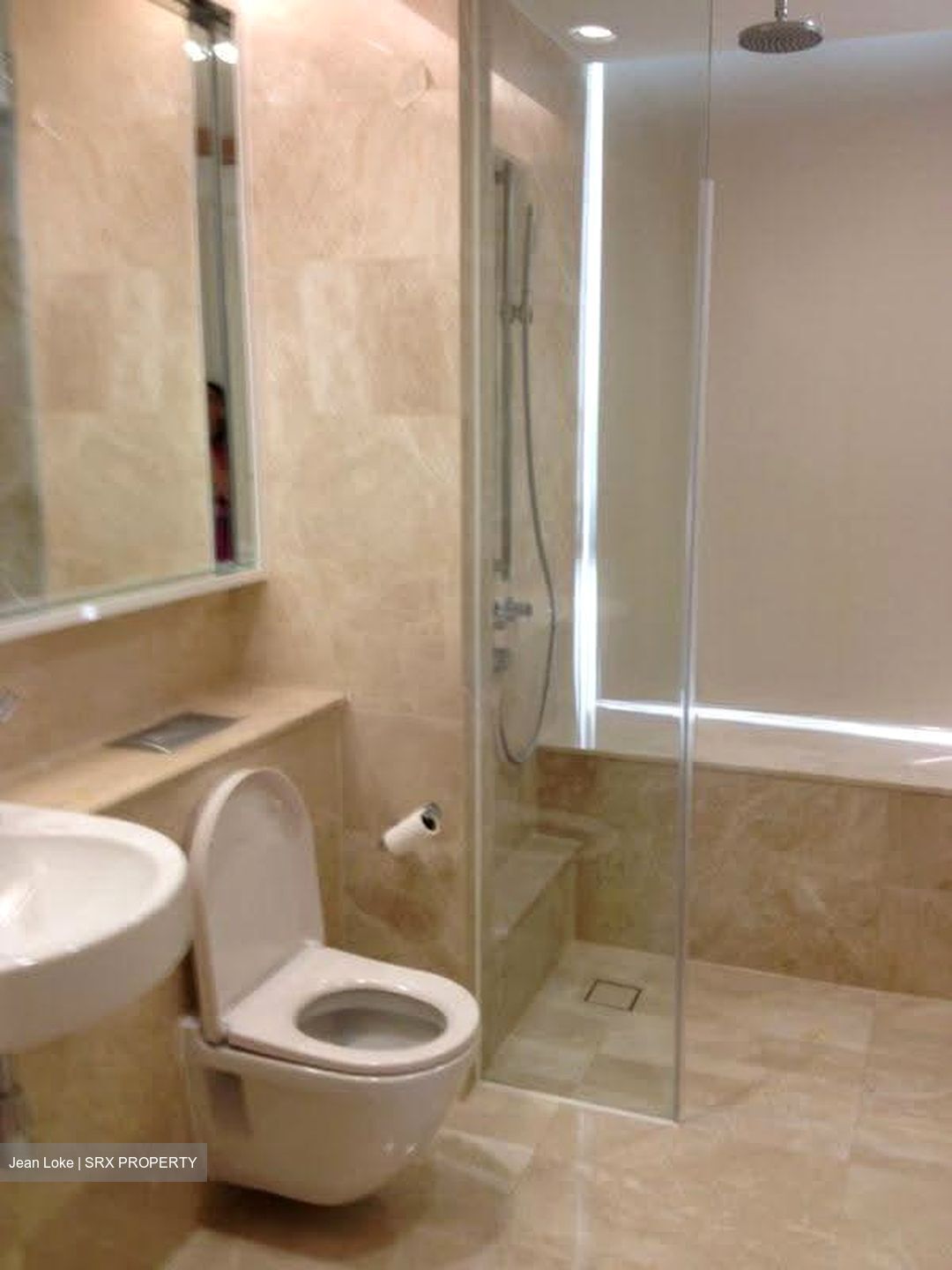 Madison Residences (D10), Condominium #627903821